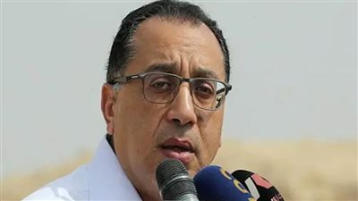 رئيس الوزراء: نسعى لجذب مزيد من الاستثمارات الأجنبية لإقامة المشروعات بمختلف القطاعات