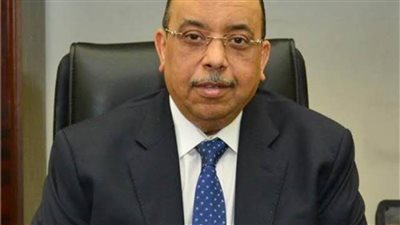 شعراوي: تدريب 17 ألفًا من الكوادر المحلية بـ١١٦ مركزًا بالمحافظات 