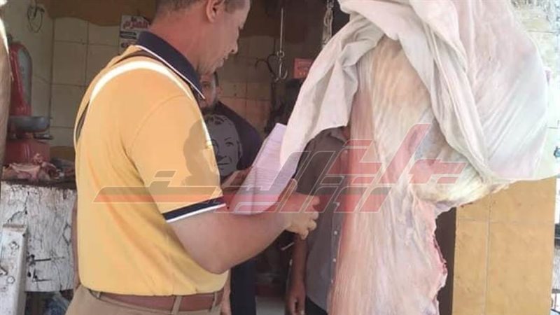 الحملات الرقابية