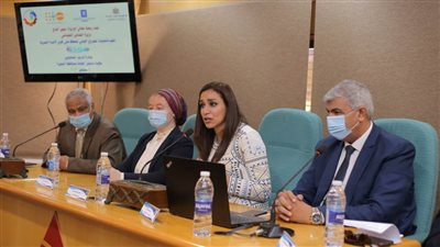 الحفاظ على كيان الأسرة المصرية مشروع 