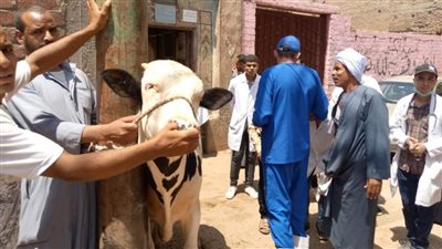 جامعة سوهاج تطلق قافلة بيطرية مجانية لقرية 