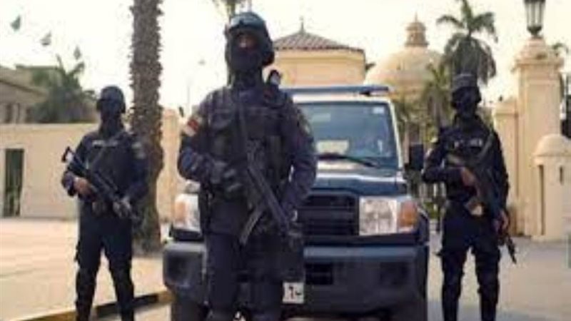 الشرطة المصرية