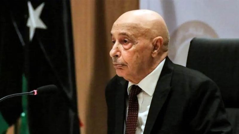 رئيس مجلس النواب