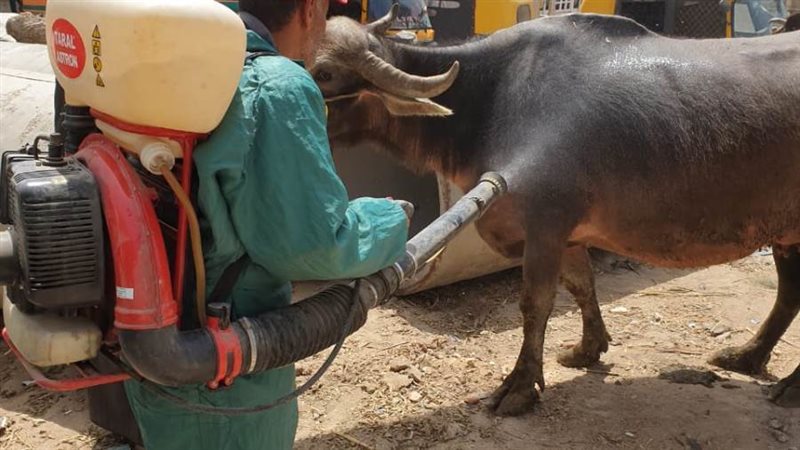 علاج ورش الماشية