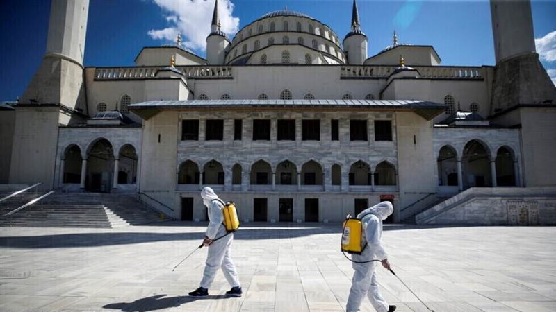 تطهير و تعقيم