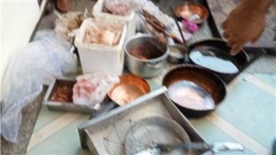 غلق مطعمين للمشويات والمأكولات البحرية لنقص الاشتراطات بالشرقية