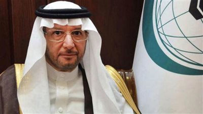 منظمة التعاون الإسلامي تدين الهجوم الإرهابي على موقع لقوات الأمن العراقية بكركوك