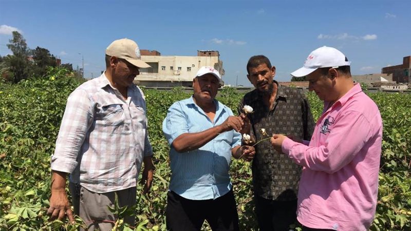 لجان للمرور على محصول