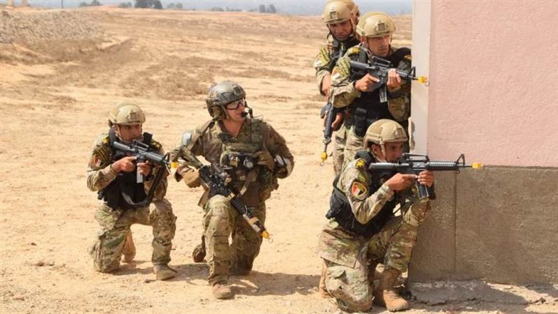 جانب من المناورات