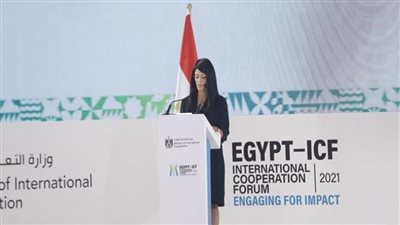 منتدى مصر للتعاون الدولي يناقش دور الشراكات متعددة الأطراف فيما بعد كورونا