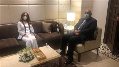 شكري يؤكد موقف مصر الداعم للبنان ولأهمية تشكيل حكومته دون تأخير