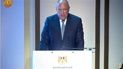 وزير الخارجية: الإطار الزمني للاستراتيجية الوطنية لحقوق الإنسان يمتد إلى 5 سنوات