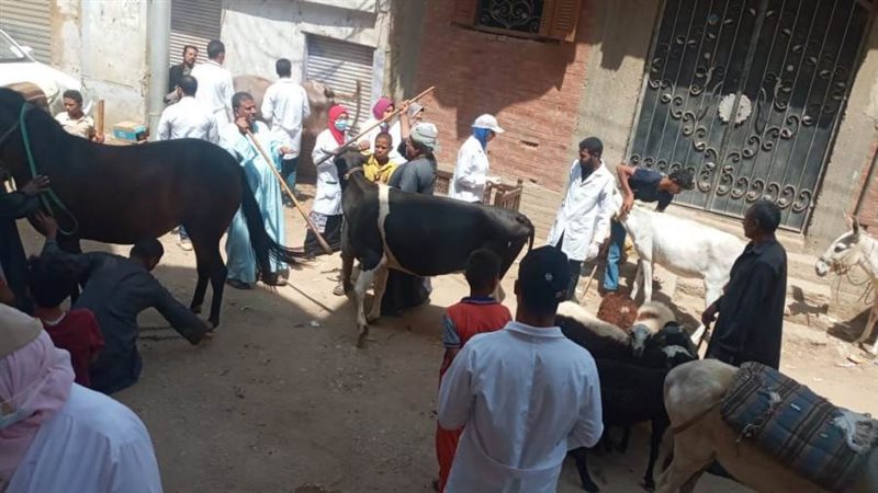 قافلة طبية لقرية