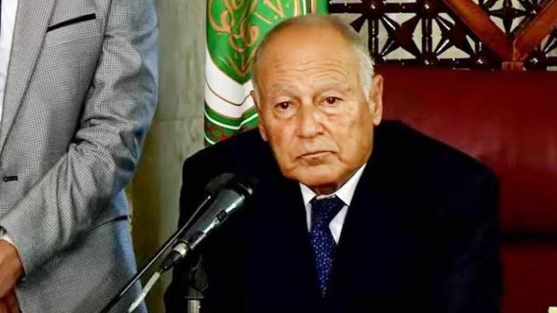 أحمد أبو الغيط