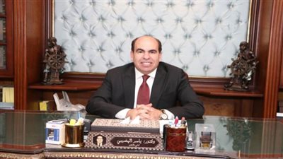 الهضيبي: الدولة المصرية توسعت في حماية حقوق المواطنين بمفهومها الشامل