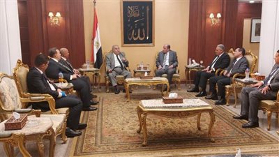 نادي القضاة في زيارة رئيس المحكمة الدستورية 