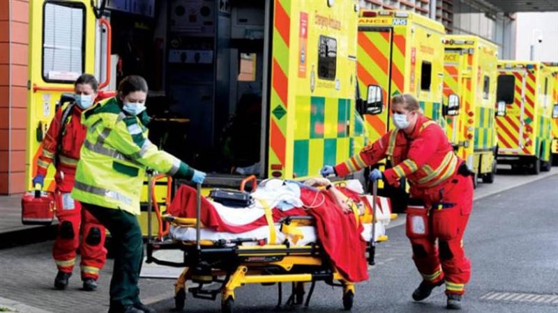 بوابة روز اليوسف