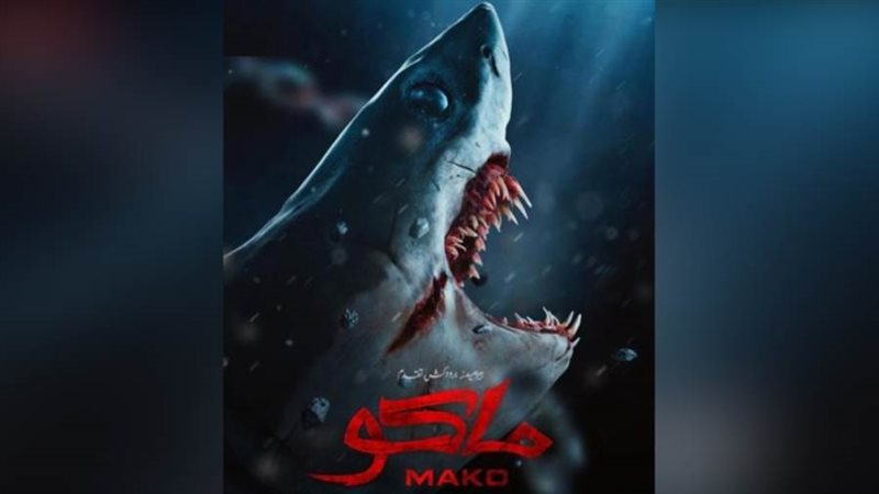 أفيش فيلم ماكو