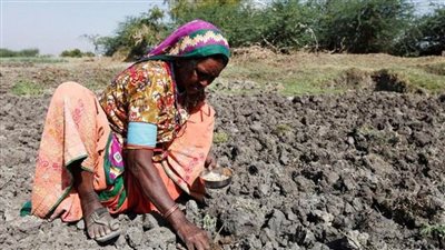 تقرير دولي: العالم يواجه مخاطر متزايدة من نقص الغذاء بسبب تغير المناخ