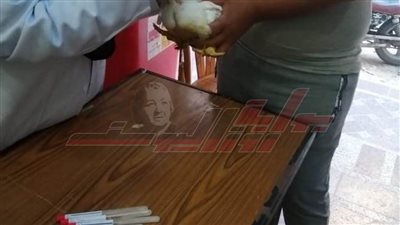 تحصين 33 ألفاً و350 طائراً ضد الأمراض الوبائية وإنفلونزا  الطيور بكفر الشيخ