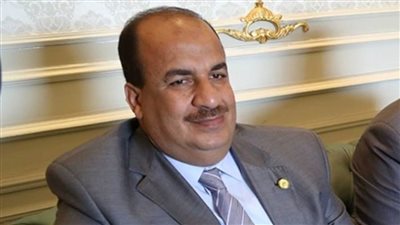 اقتصادية النواب: وزارة الشباب حققت طفرة كبيرة في ملف الاستثمار