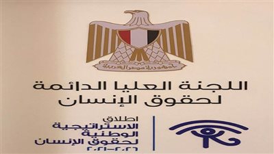 الاستراتيجية الوطنية لحقوق الإنسان 2021| أبرز حقوق الشباب التى يكفلها الدستور