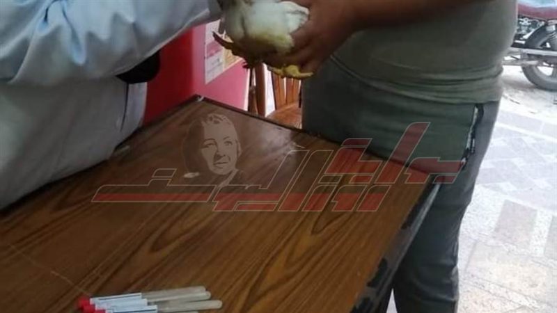 تحصين الطيور