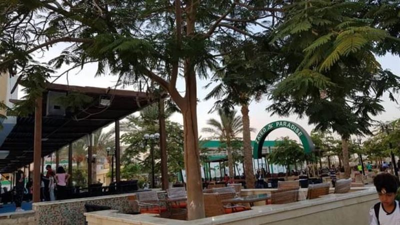 نادي الشيخ زايد