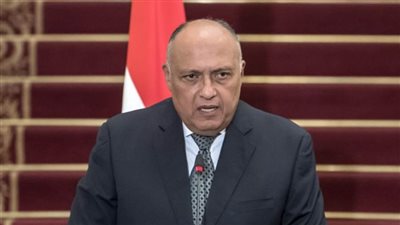 وزير الخارجية يعقد مباحثات مع نظيره الكونغولي