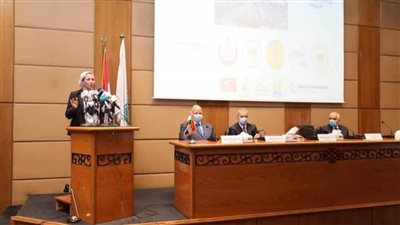 الحكومة تواجه تلوث الهواء وتغير المناخ فى القاهرة الكبرى