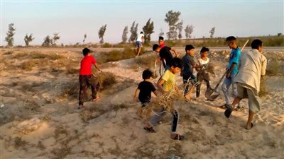 مبادرة لتشجير قرية ببئر العبد ضمن مبادرة: 