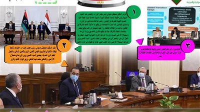 بالانفوجراف والفيديو| 