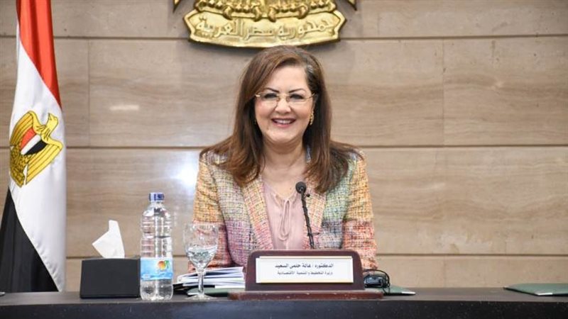 وزيرة التخطيط