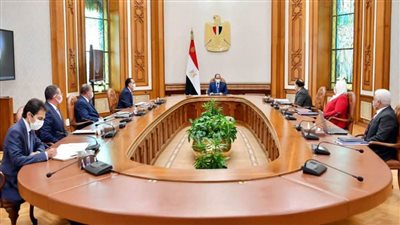 أبرز 6 توجيهات للرئيس السيسي اليوم بشأن تطوير التأمينات وحماية الفنانين