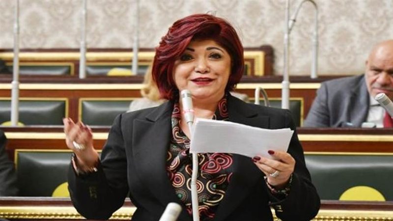 النائبة نورا علي