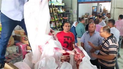 تحرير ١٢ محضرًا والتحفظ على ١٢ طن مضبوطات بحملات على أسواق الإسكندرية