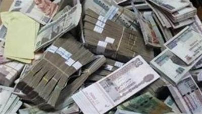 عاجل| محتال الوايلي يسقط في قبضة الأموال العامة