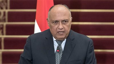 شكري يبحث مع نظيرته الألبانية تعزيز التعاون وتنسيق الموافق بين البلدين