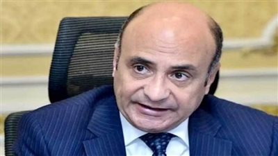 وزير العدل ينعى المشير محمد حسين طنطاوي