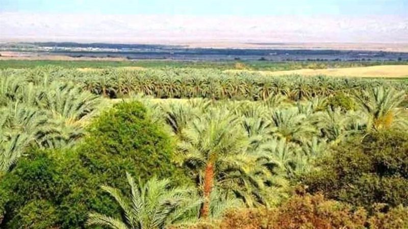 تنفيذ مبادرة رئيس