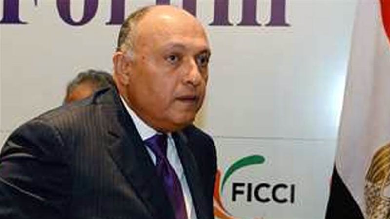 سامح شكري وزير الخارجية