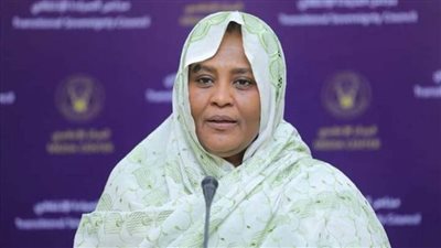 وزيرة خارجية السودان: مدنيون على صلة بالنظام البائد متورطون في محاولة الانقلاب