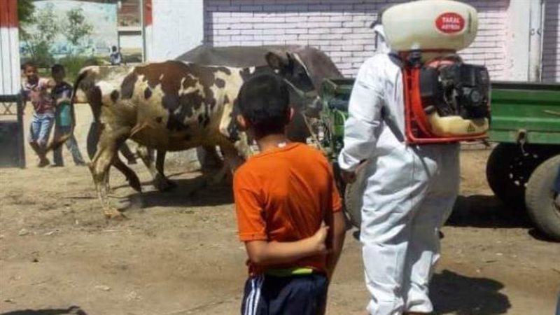 فحص وعلاج الماشية