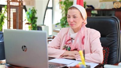 وزيرة البيئة تشارك في قمة تأثير التنمية المستدامة ٢٠٢١ 