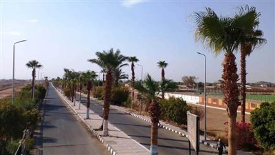  أسوان تستعد لتعامد الشمس بأبو سمبل