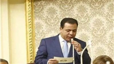 برلماني: السيسي أحدث طفرة غير مسبوقة في تنمية سيناء 