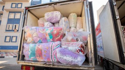 صندوق تحيا مصر يطلق قافلة حماية اجتماعية لرعاية ألفي أسرة بجنوب سيناء