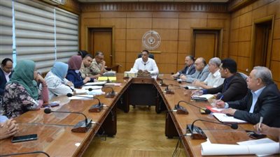 محافظ الدقهلية يوجه بتذليل العقبات لاستكمال مشروعات 