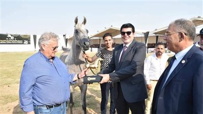 76 حصانا عربيا تشارك في مسابقات مهرجان الشرقية للخيول العربية ببلبيس