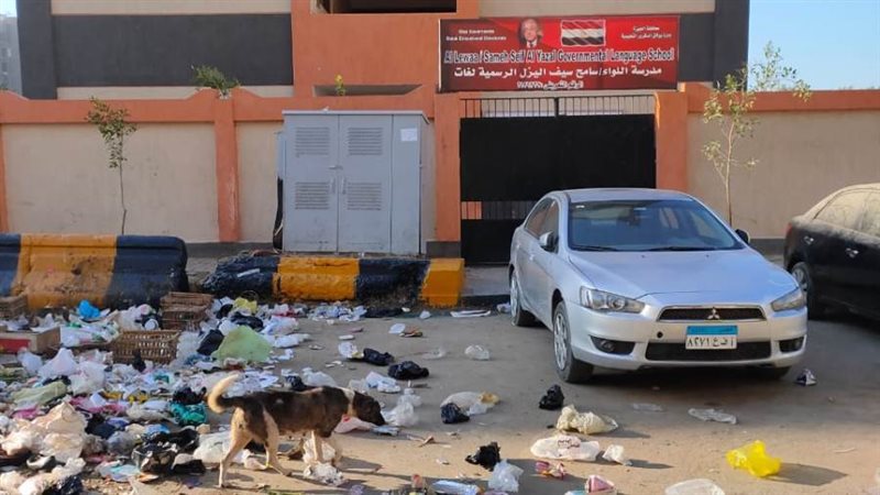 تجمع القمامة والحشرات